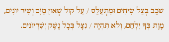 ציטוט