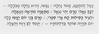 ציטוט מהמקור