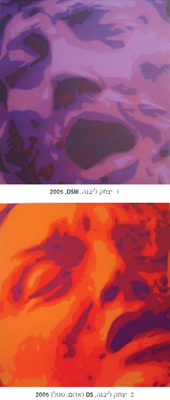 תמונות מהספר