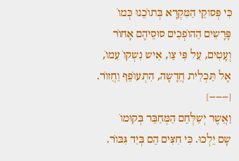 ציטוט