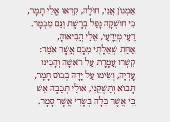 ציטוט מתוך הספר
